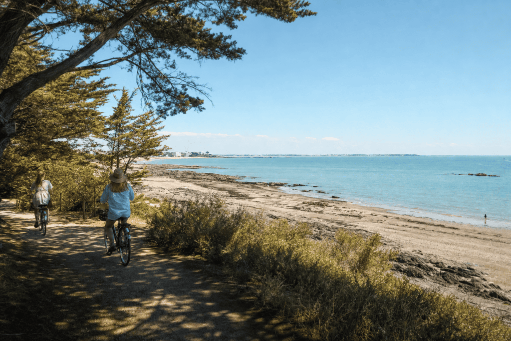 Balade à vélo entre plage, pinède et côte sauvage