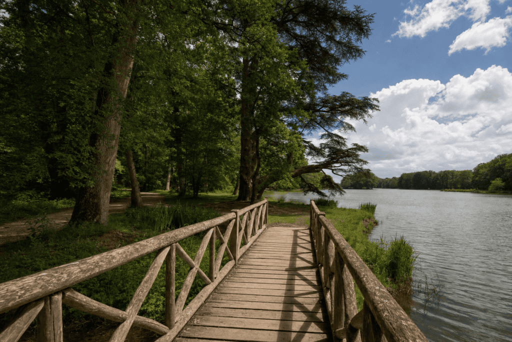 Forêt de Chantilly et ses étangs