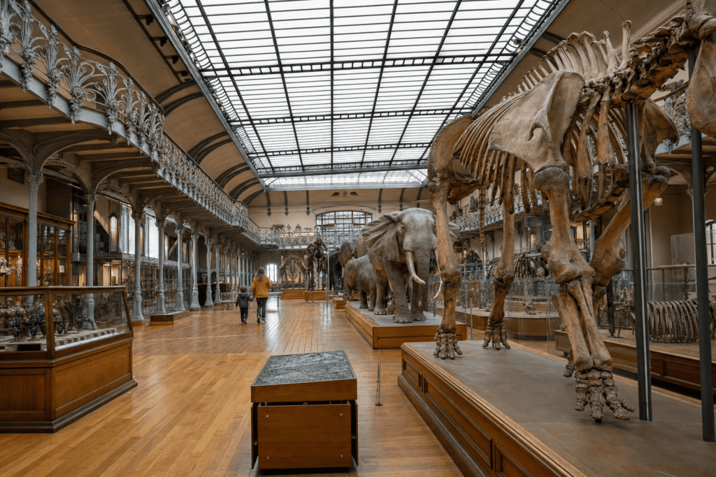 Galerie de l’Évolution