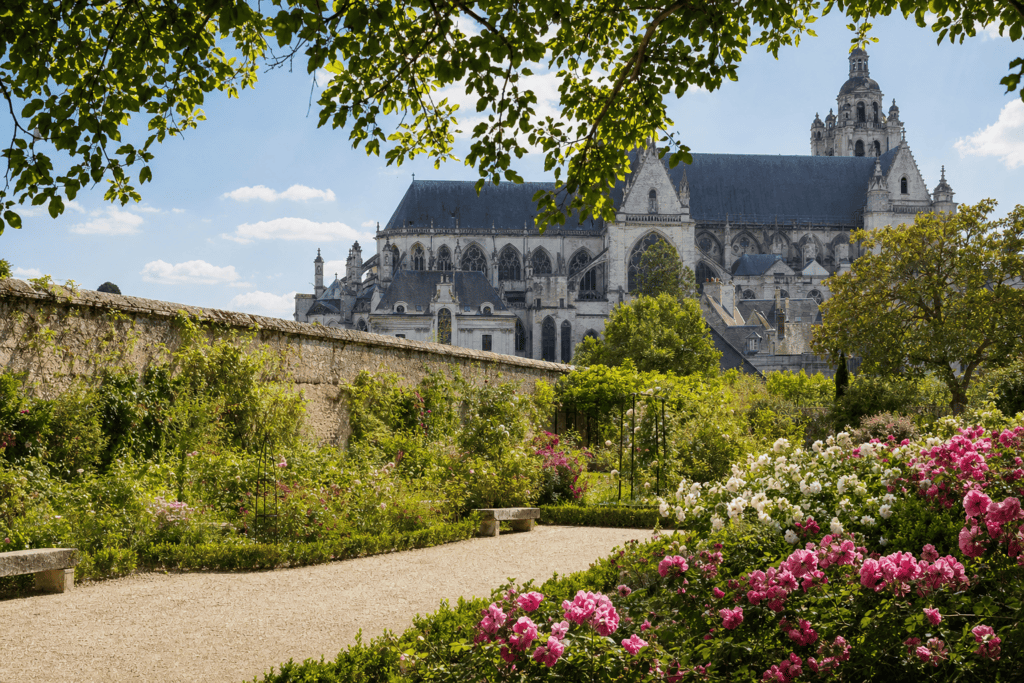 Jardins de l’Évêché et roseraie