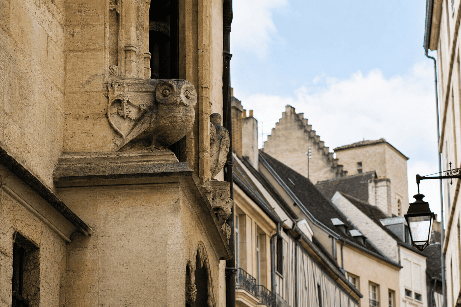La Chouette et le parcours du centre historique — Dijon
