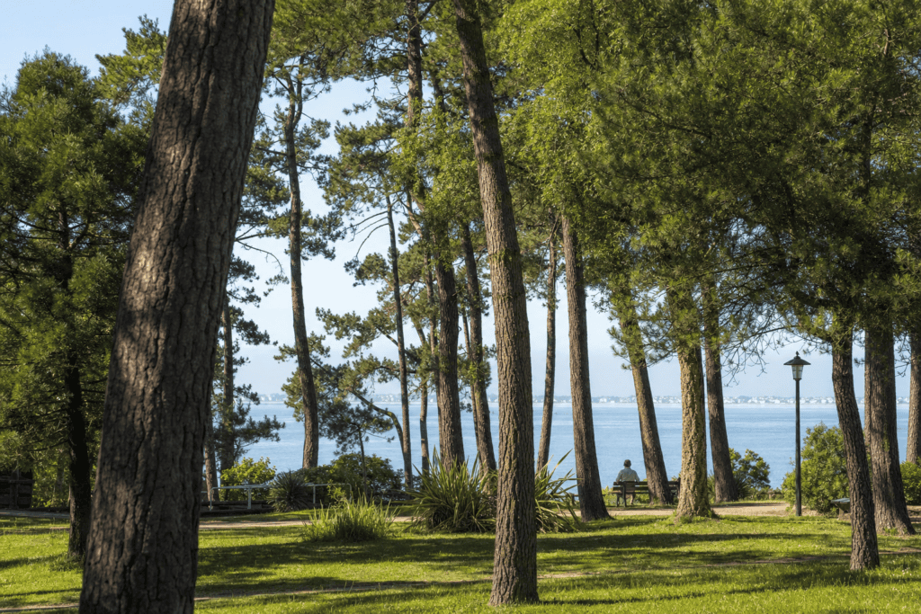 Parc des Dryades