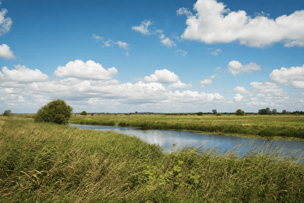 Parc naturel régional des Marais du Cotentin et du Bessin