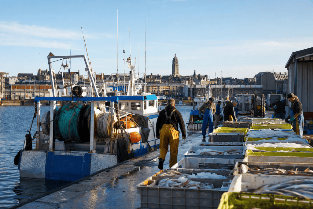 Port de pêche et marché aux poissons de Boulogne-sur-Mer