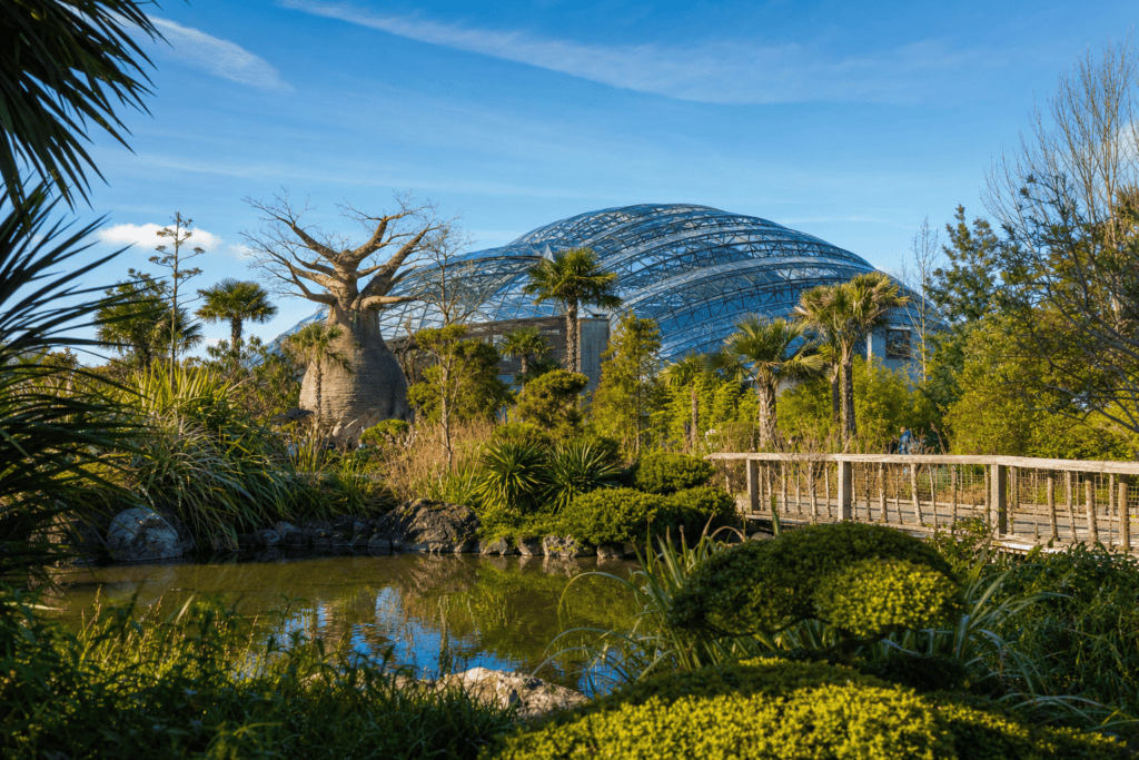 Terra Botanica