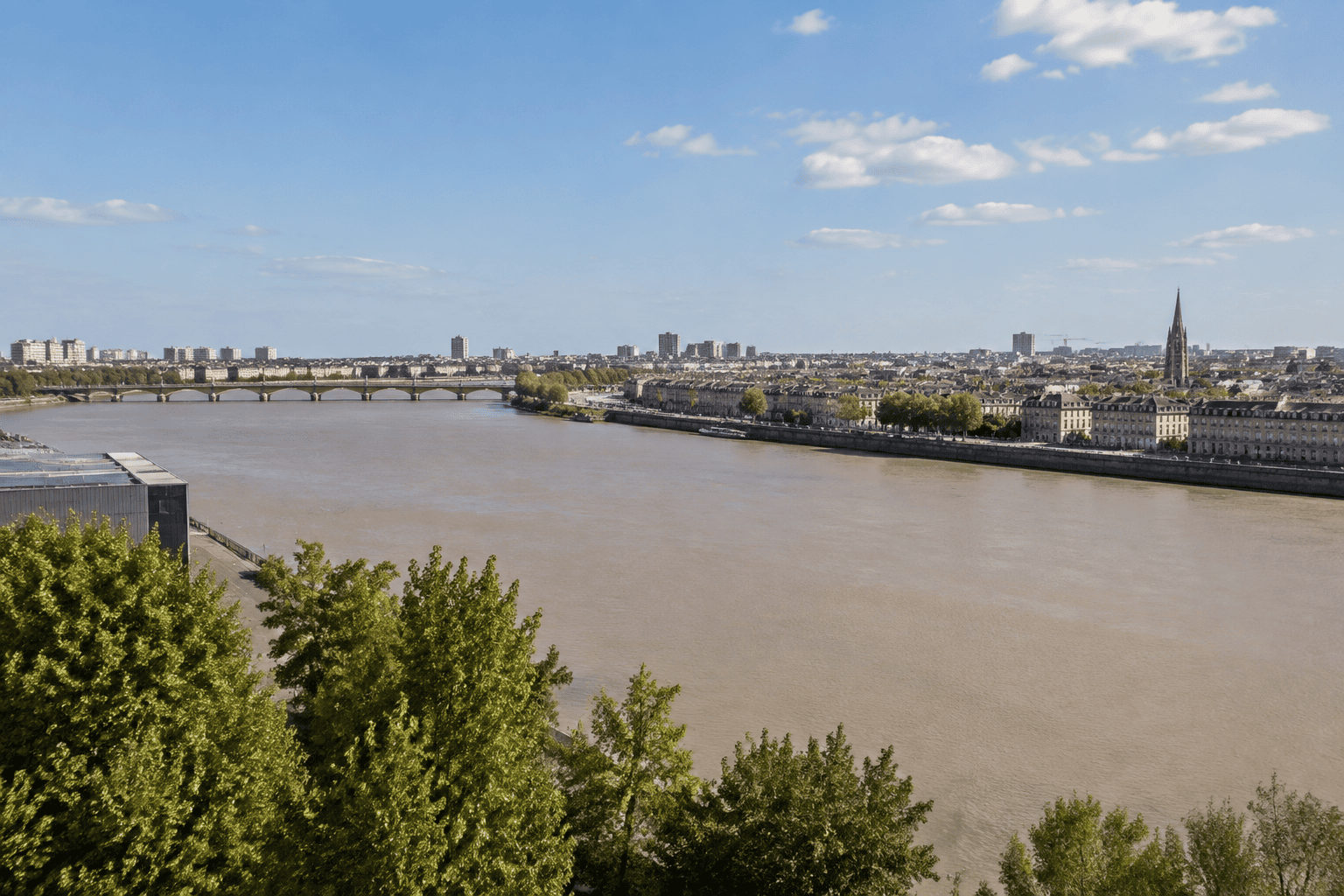La Garonne au premier plan, avec des arbres, un pont et les bâtiments de Bordeaux à l’horizon.