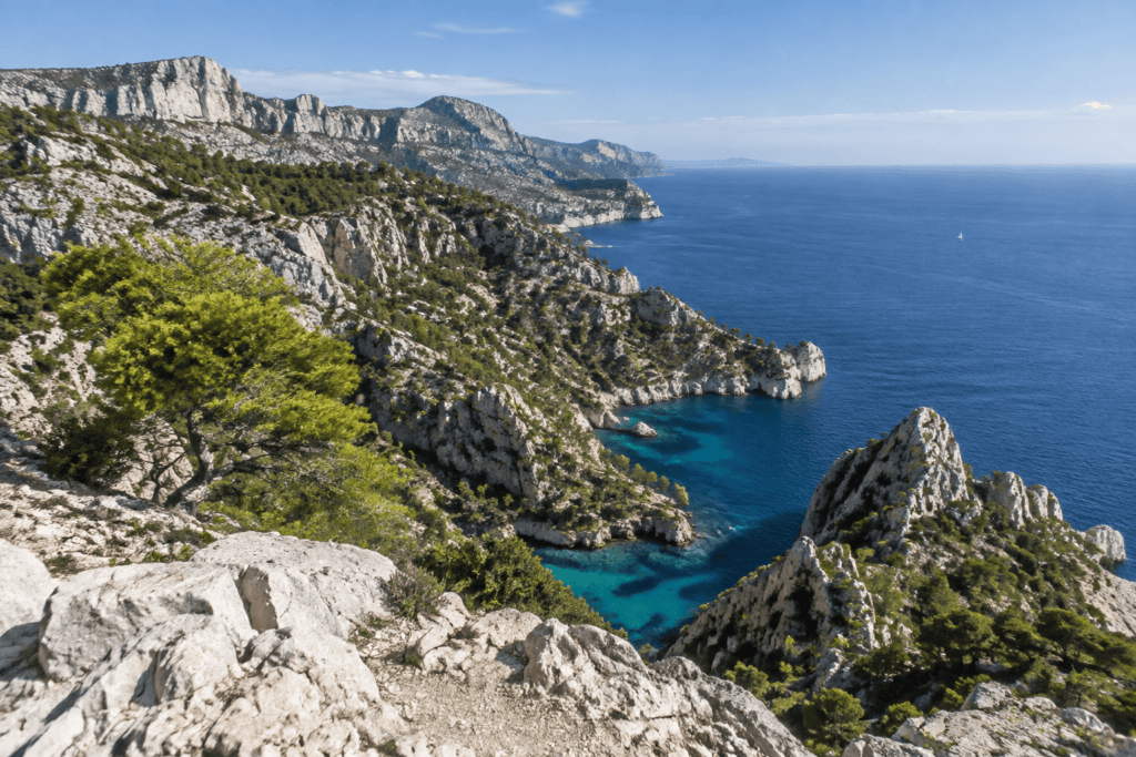 Des falaises calcaires couvertes de pins dominent de petites criques turquoise et la mer.