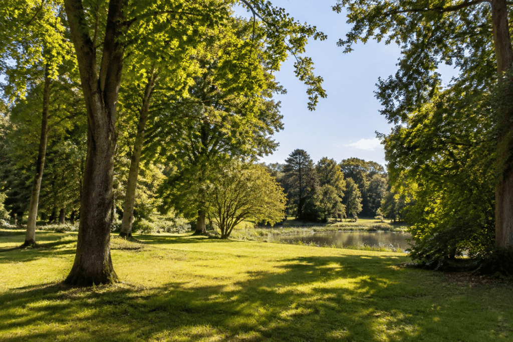 Des arbres entourent une étendue d’eau dans un parc verdoyant.
