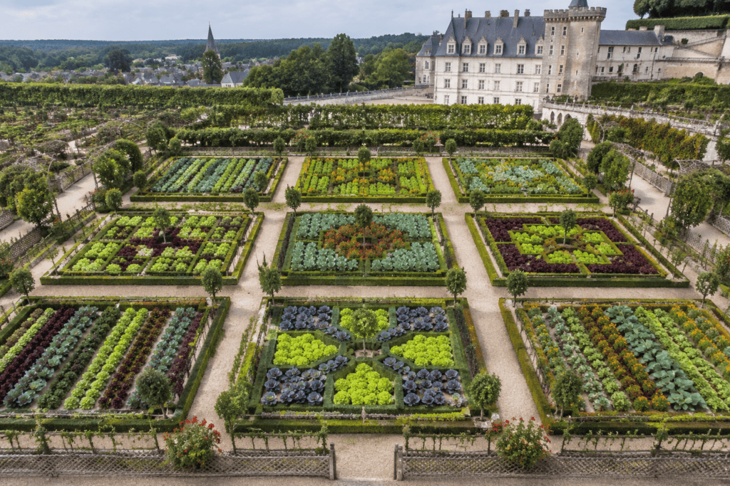 Neuf carrés de cultures aux feuillages colorés composent le potager géométrique, avec le château en arrière-plan.