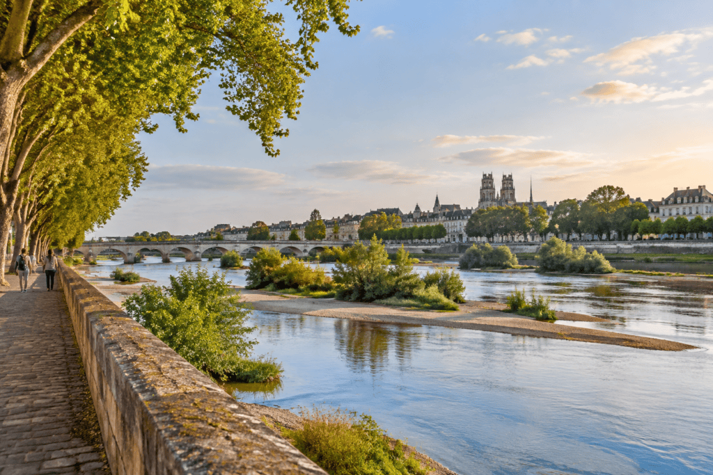 La Loire, ses îlots et un pont, vus depuis un chemin ombragé sur la rive ; la silhouette de Tours apparaît au loin.