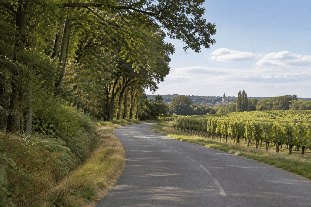 Route de campagne bordée d’arbres et de rangs de vigne, avec un village au loin.