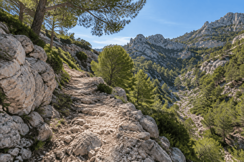 Un chemin étroit de pierres claires traverse un vallon bordé de pins et de reliefs calcaires.