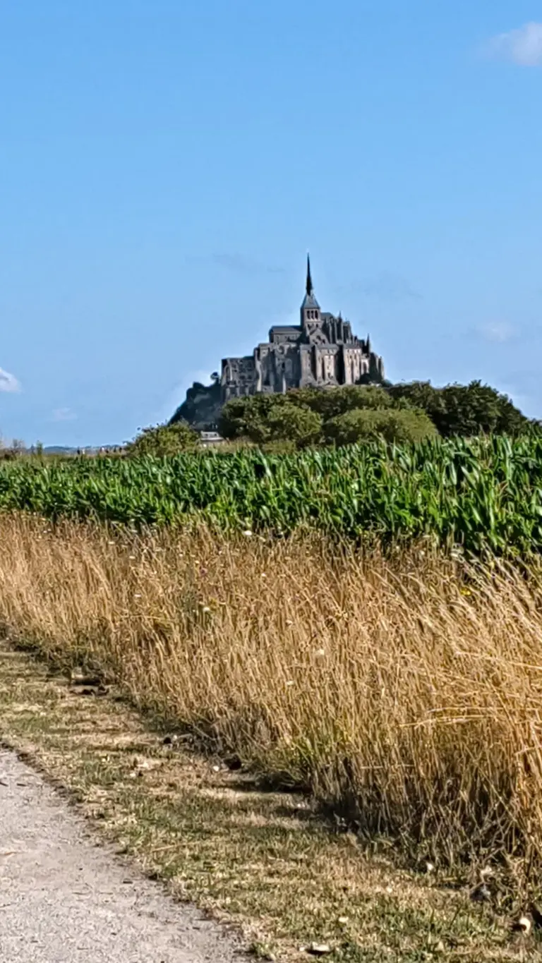 Vue du Mont-Saint-Michel depuis les prairies